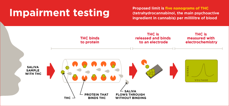 infographic showing how thc test works