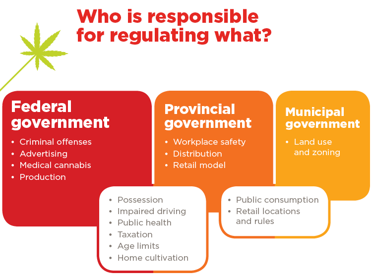 infographic highlighting the different government sector and what they regulate in terms of cannabis