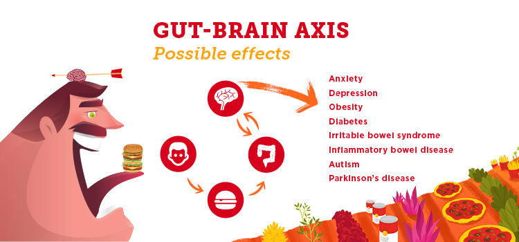 Illustration of the gut-brain axis