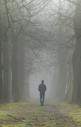 man walking in wood path