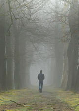 photo a person walking down a gloomy path in the woods